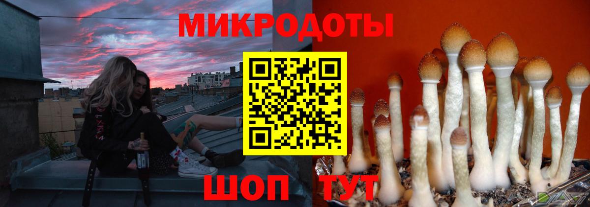 Рыбинск  Галлюциногенные грибы мухоморы  Вход с VPN 